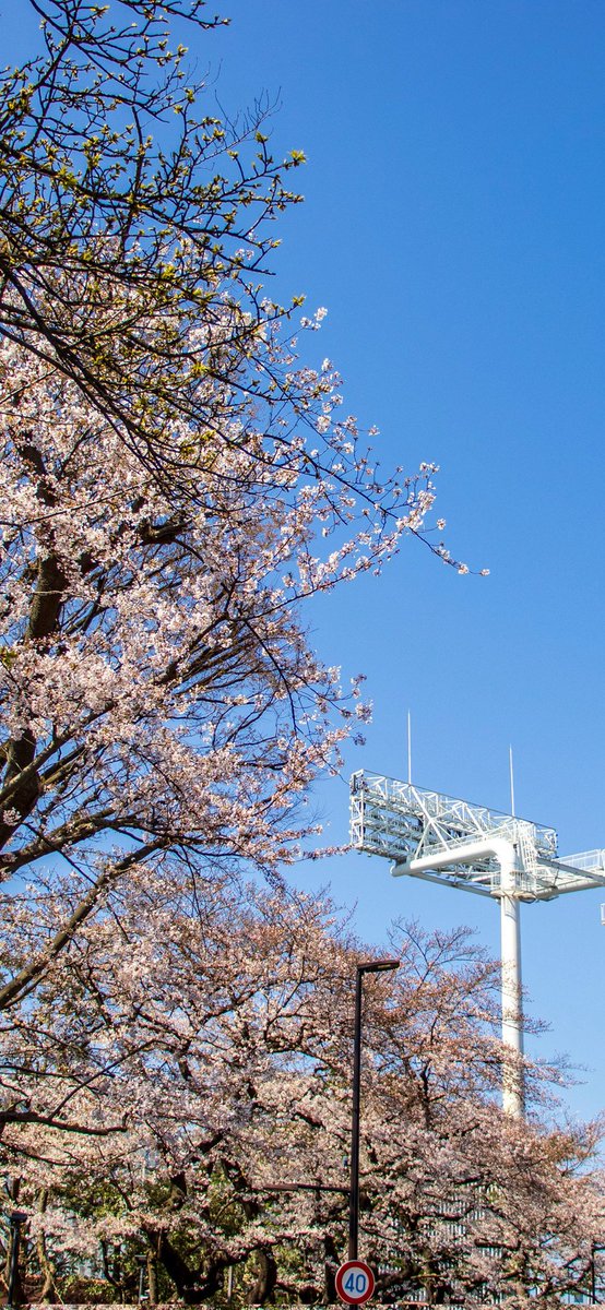 aoi空の子 tweet media