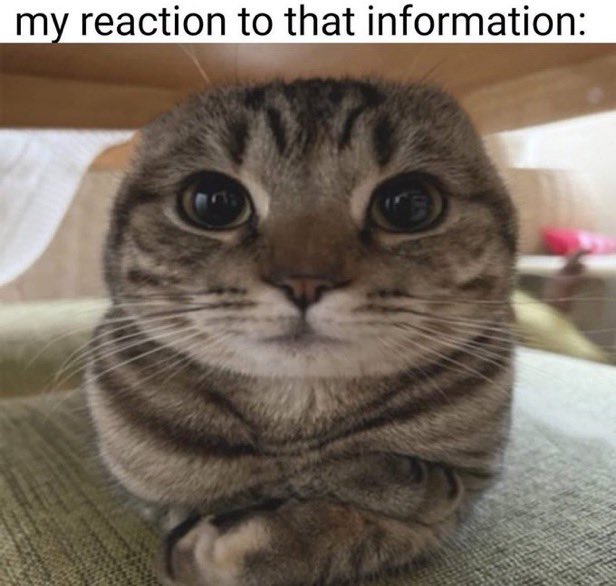 ℍ 𝔸 ℕ ℕ 𝔸 ℍ tweet media