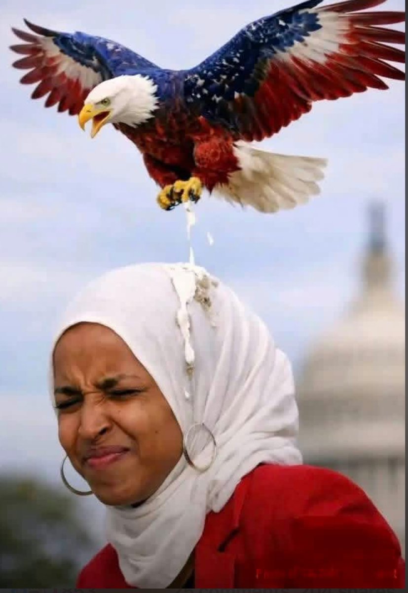 Matthew Seifert tweet media