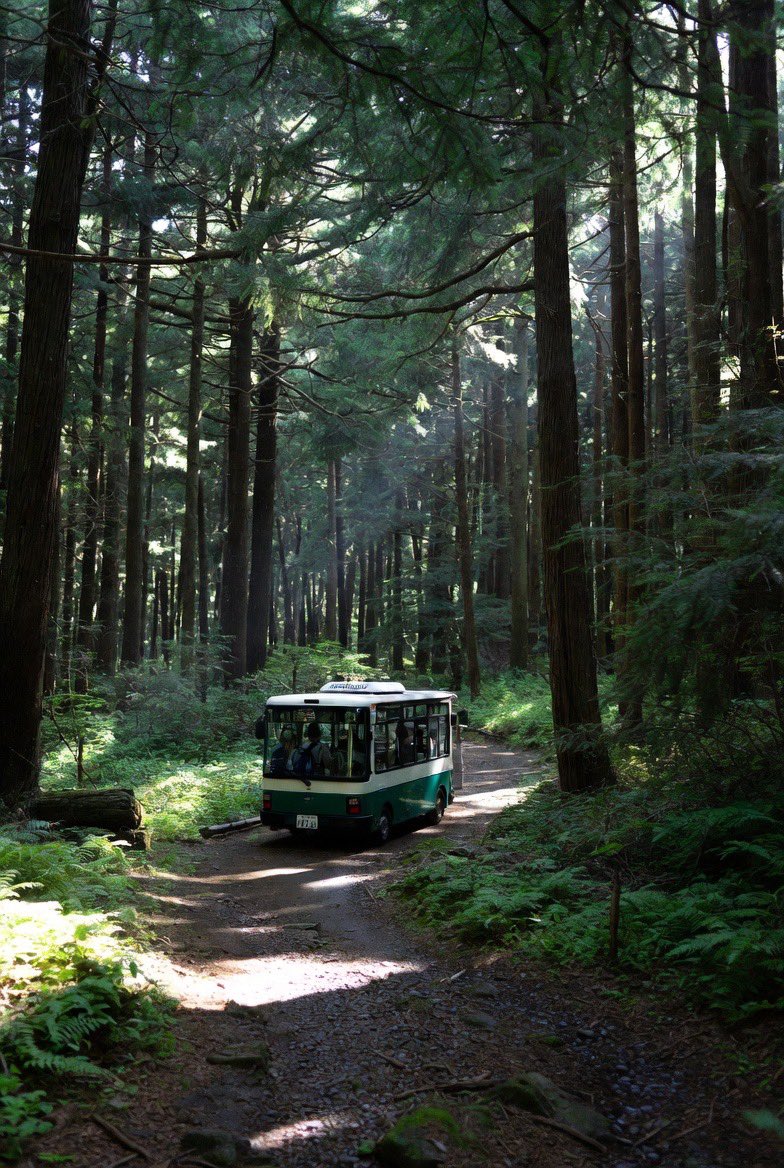 加藤 文鳥@妖怪みかん tweet media