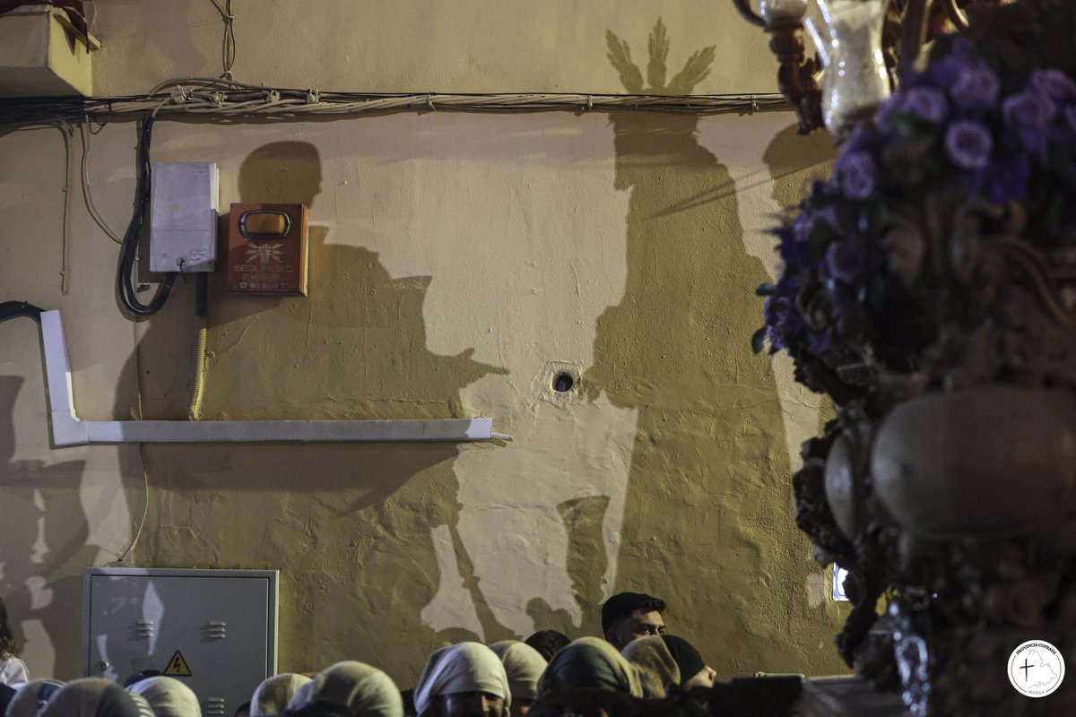 Provincia Cofrade tweet media