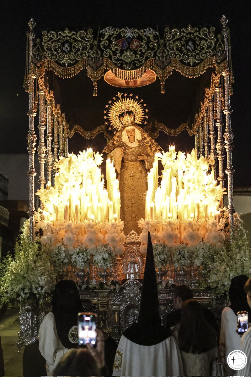 Provincia Cofrade tweet media