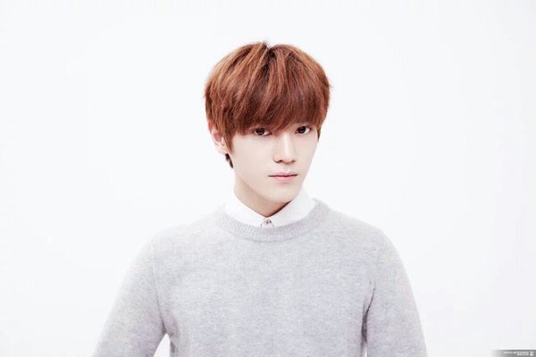 tydy archive tweet media