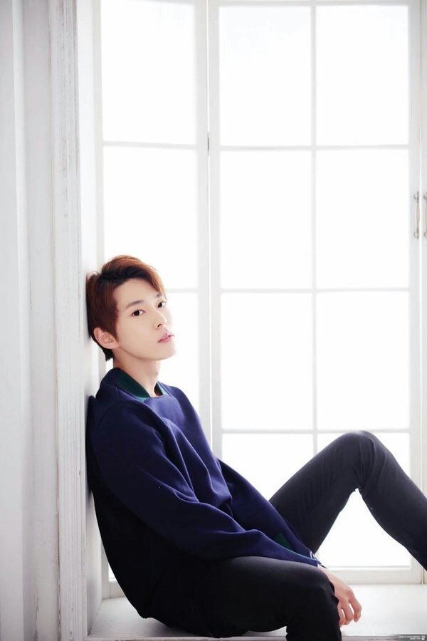 tydy archive tweet media