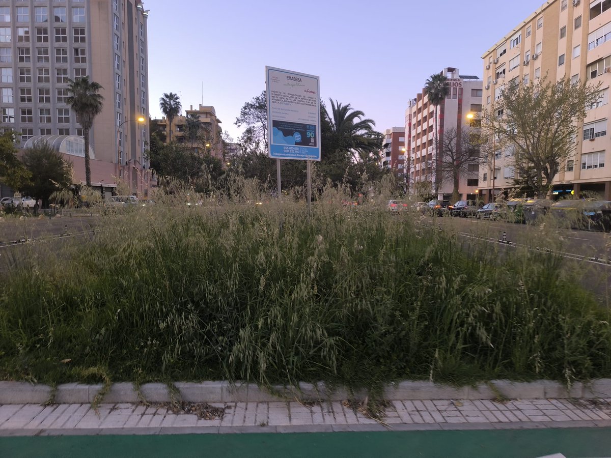 Bienvenidos a la Selva de #SevillaEste patrocinado por <a href="/Ayto_Sevilla/">Ayuntamiento de Sevilla</a> y su Excmo Alcalde <a href="/jlsanzalcalde/">José Luis Sanz</a>