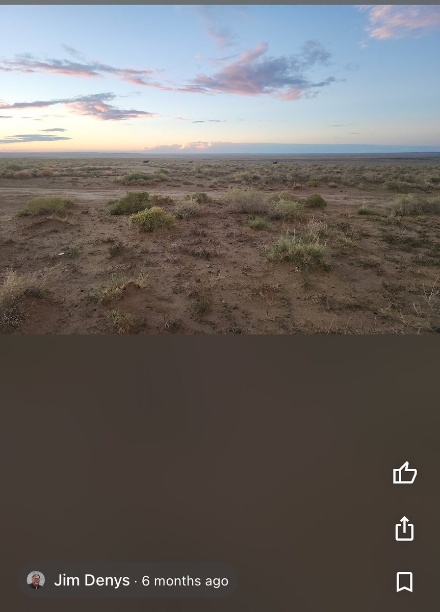 Raven Jade tweet media