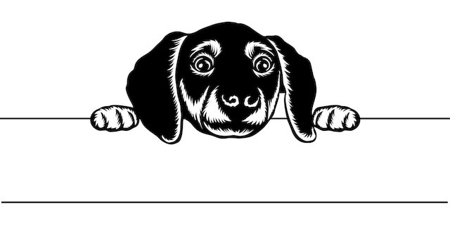 Tom Labell tweet media