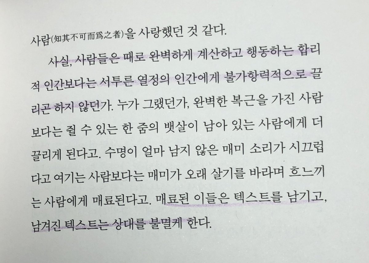 티엔나 tweet media