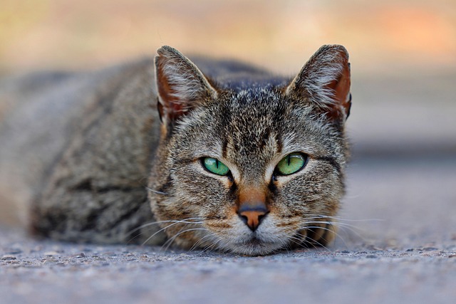 Sabrina Davis tweet media