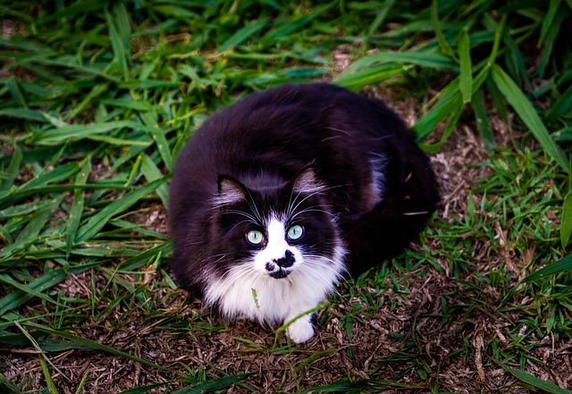 Steve Bollinger tweet media