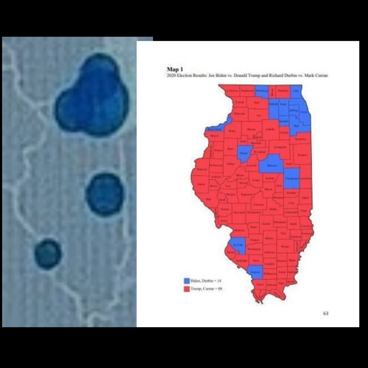 Anti-Muzzle tweet media