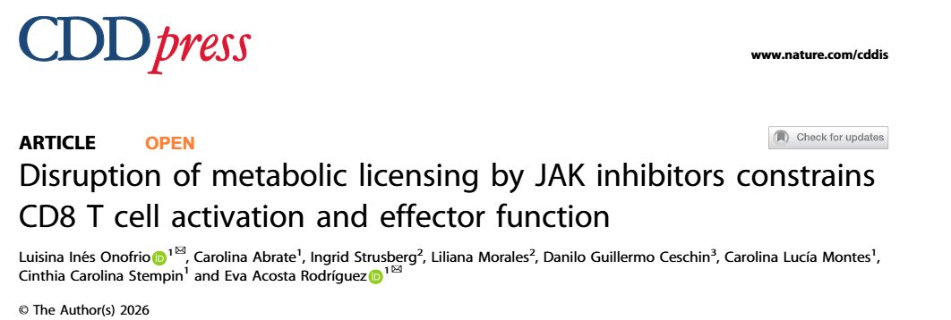 Luisina Onofrio tweet media