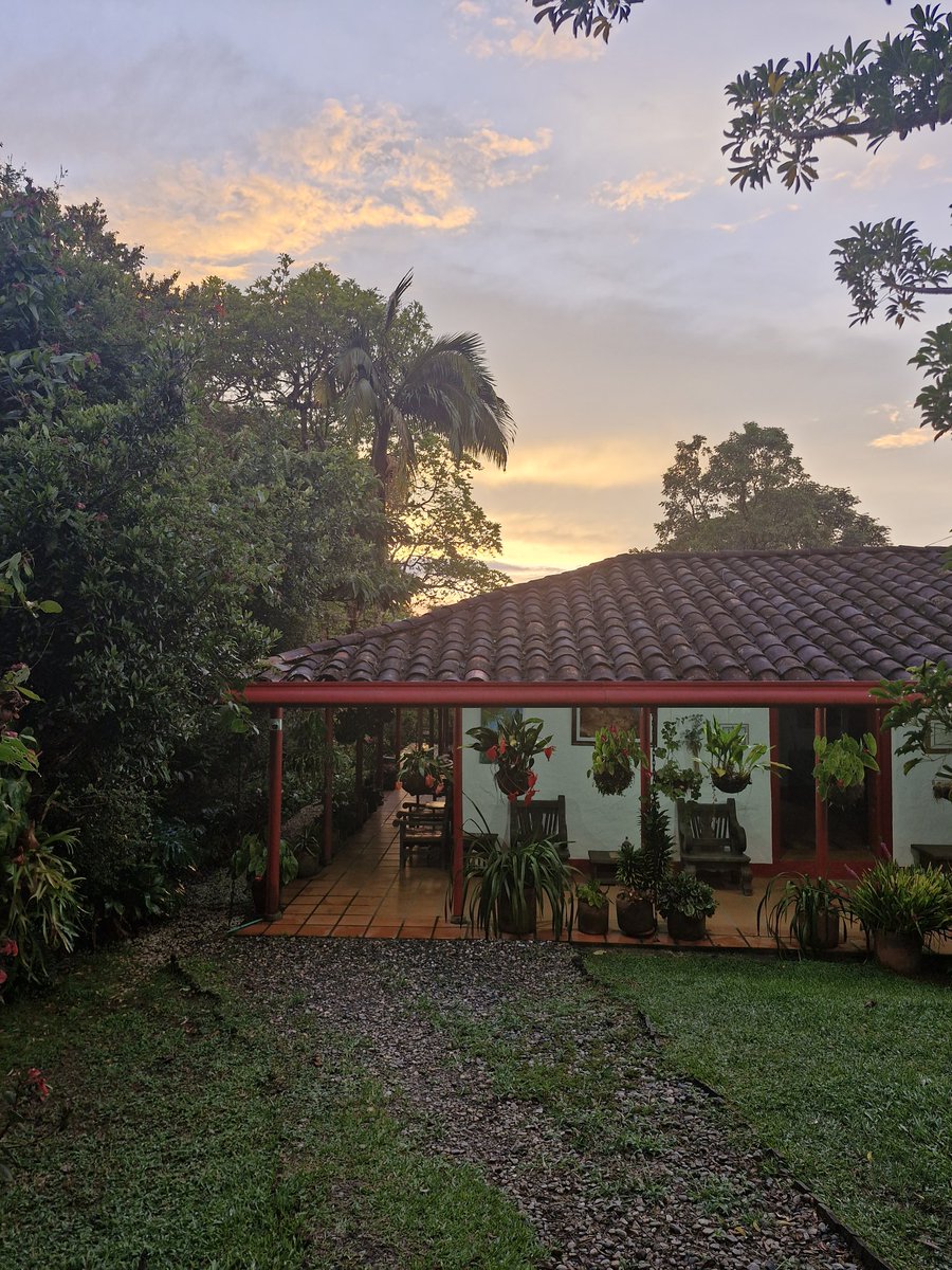 gallo_orlando's tweet photo. Como cuando llueve y escampa. https://t.co/OrFjJHycna