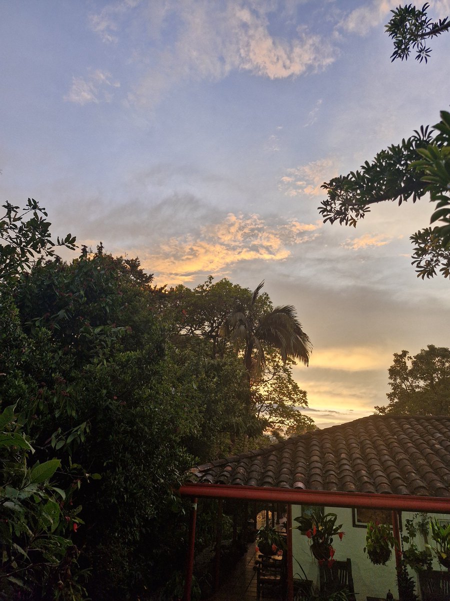 gallo_orlando's tweet photo. Como cuando llueve y escampa. https://t.co/OrFjJHycna