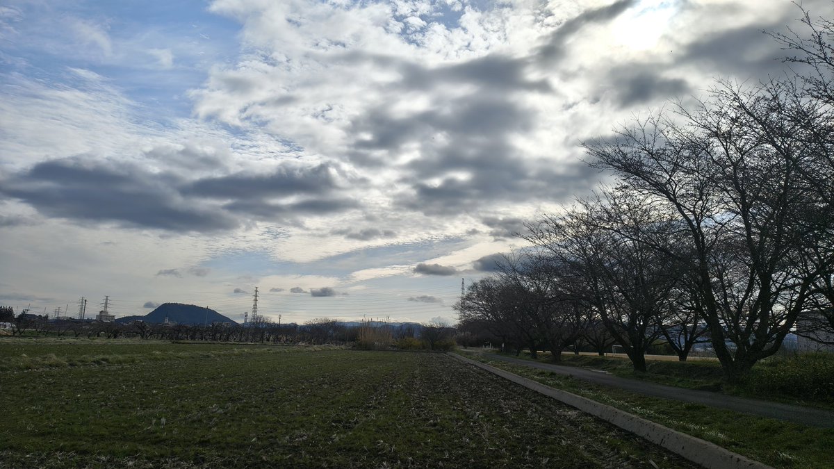 おはようございます⛅

晴れ始めた曇が多い通勤路🚗³₃
暖かいですね現在の気温は15度で最高気温は19度の予報
少しずつ会社の前の桜が開きはじめました🌸

タラの芽食べたくなったな〜🤤

皆さん健康第一で福のある素敵な1日を👋🥸
 #イマソラ
 #空ネット
 #福島市
 #福の空
 #ギャラリー梟前