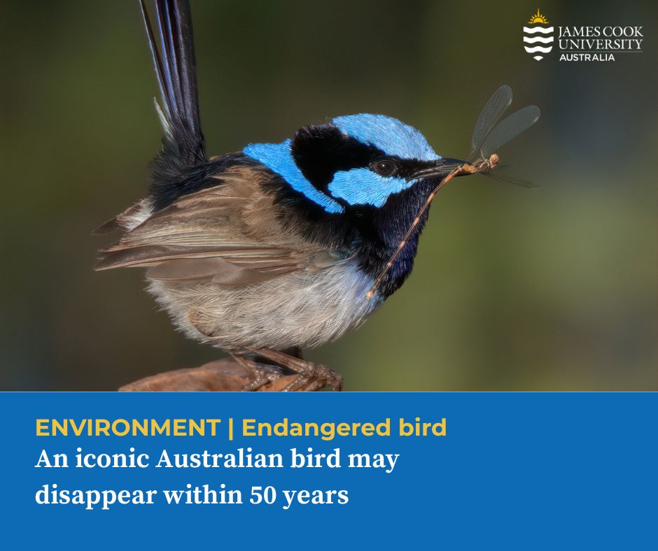 James Cook Uni tweet media