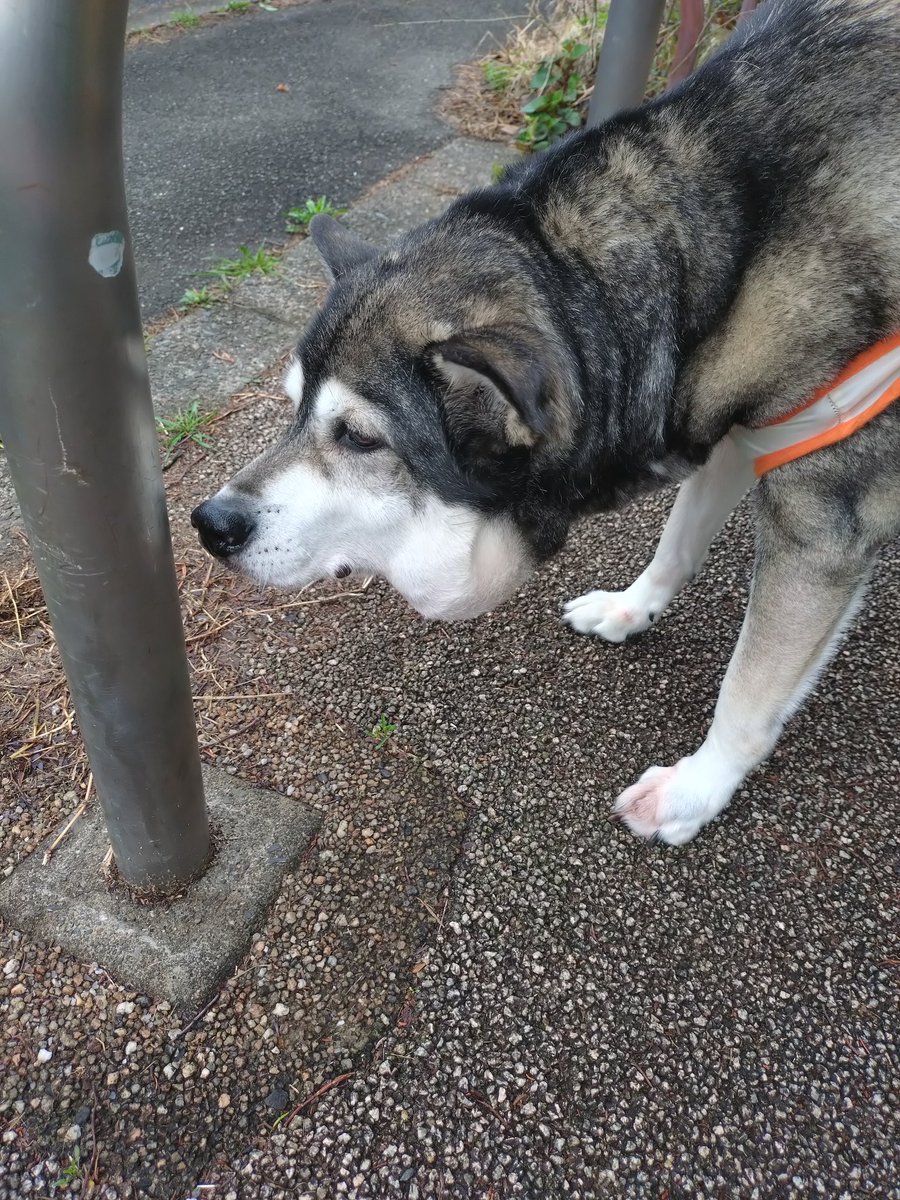 渡辺保裕 汐の匂い tweet media