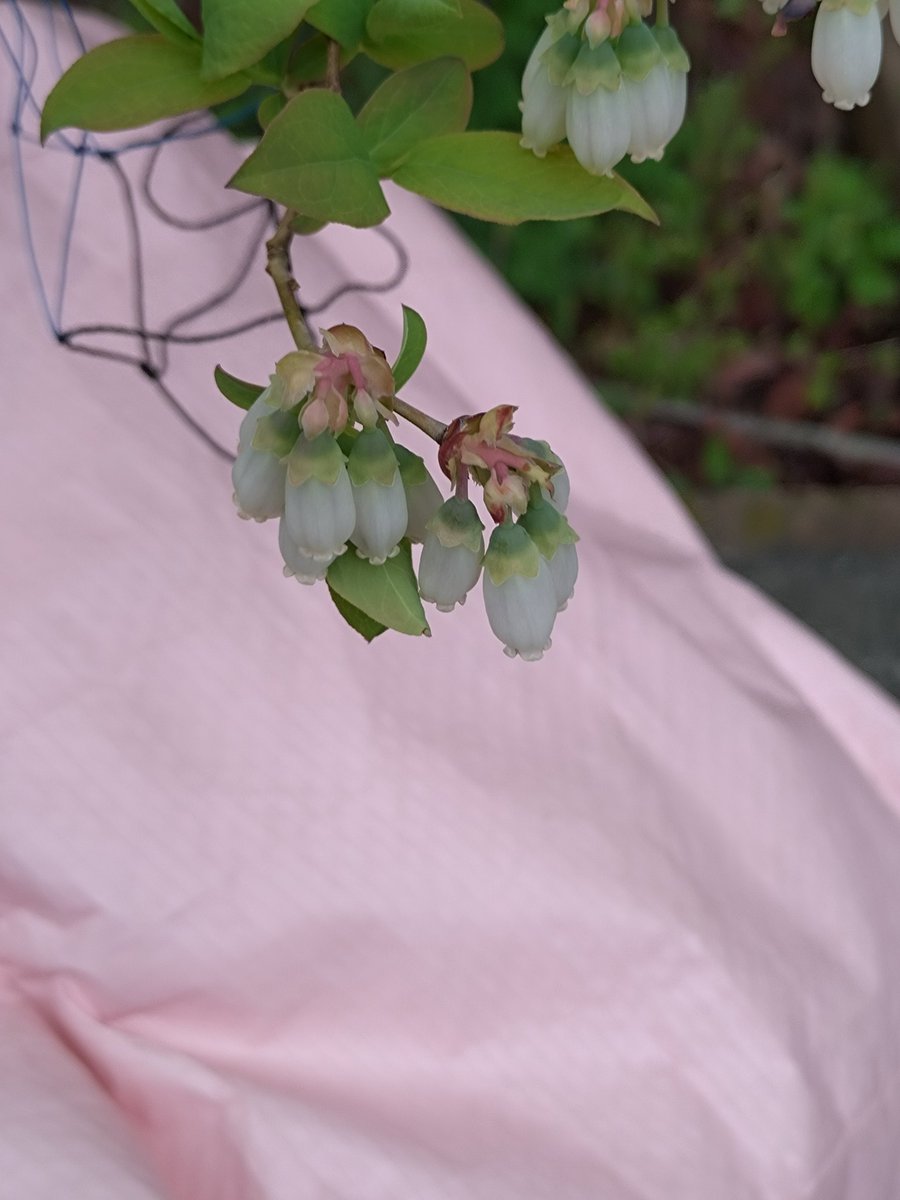 渡辺保裕 汐の匂い tweet media