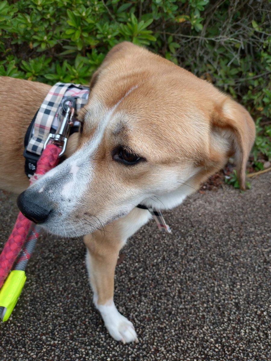 渡辺保裕 汐の匂い tweet media