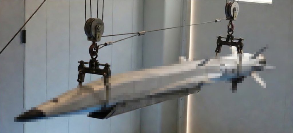 ん、妄想的な野菜生活(ウクライナダボス商工会議所) tweet media