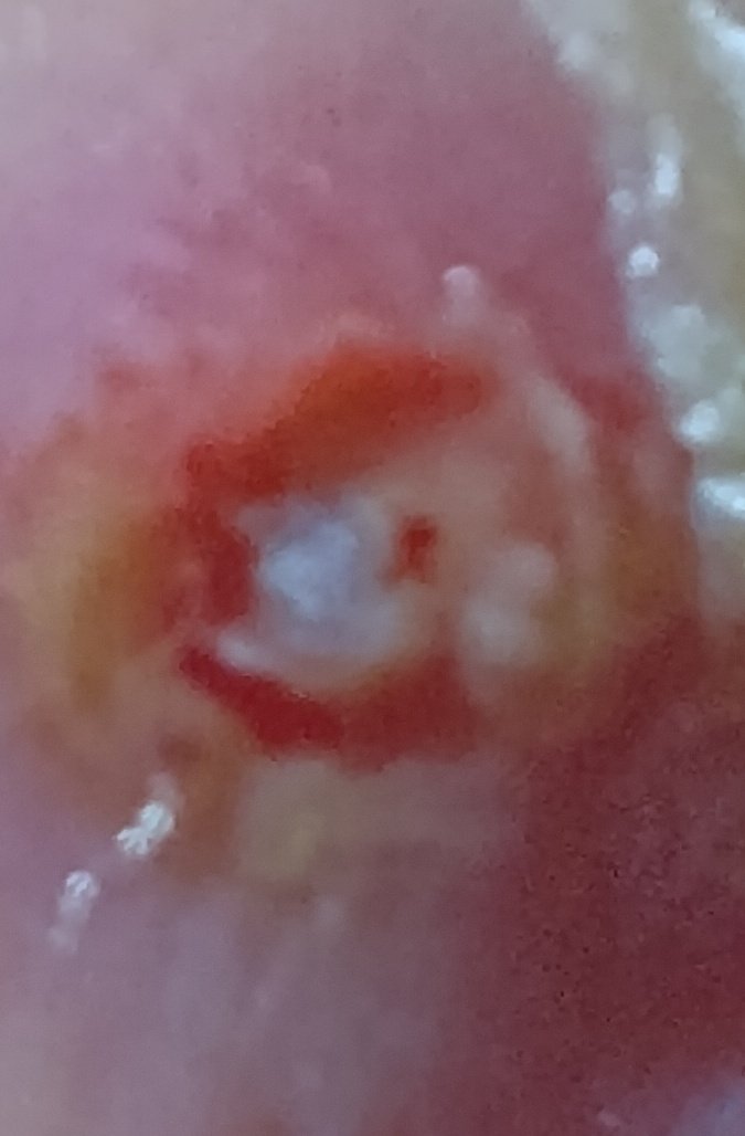 👑Princess👑 tweet media