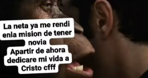 Bruechboot tweet media