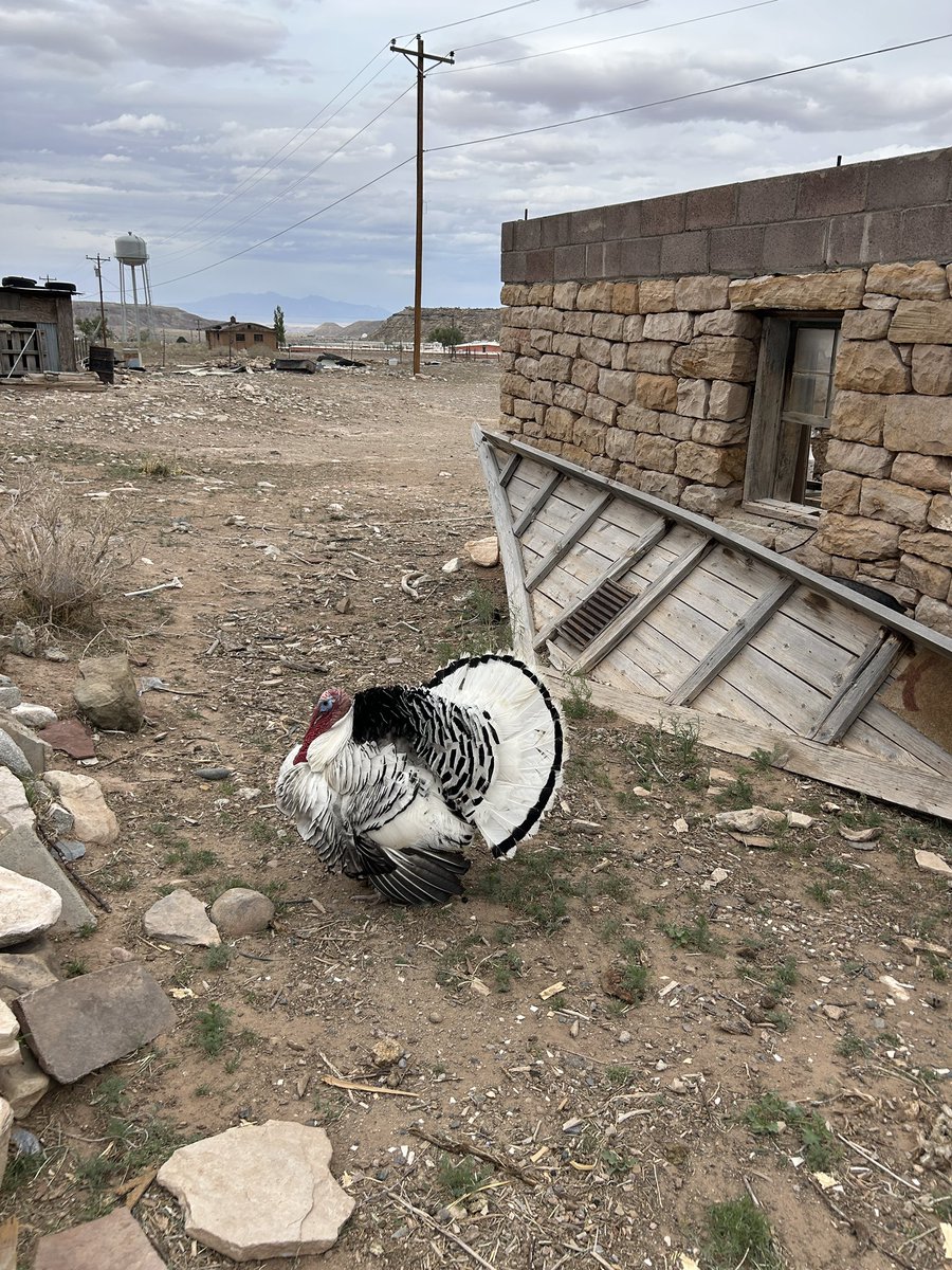 Chris Clements tweet media