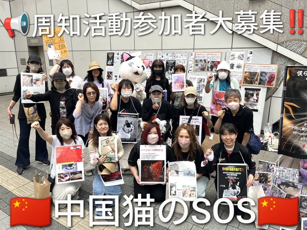 サンちゃん～✨🍀🍀✨～ tweet media