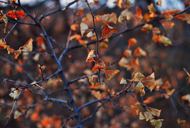 Brandon Gambel tweet media