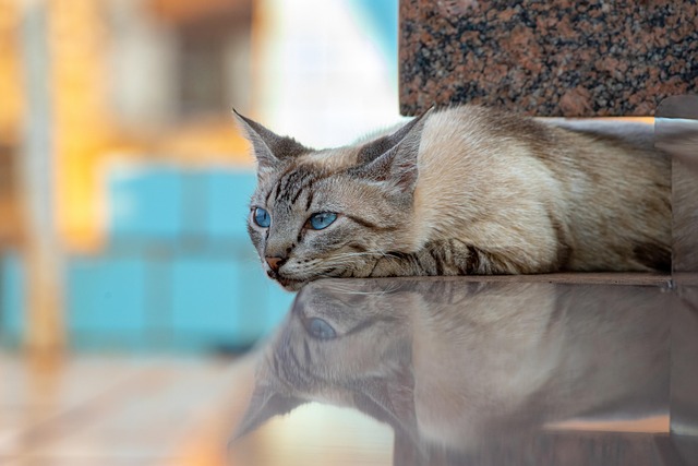 William Yates tweet media