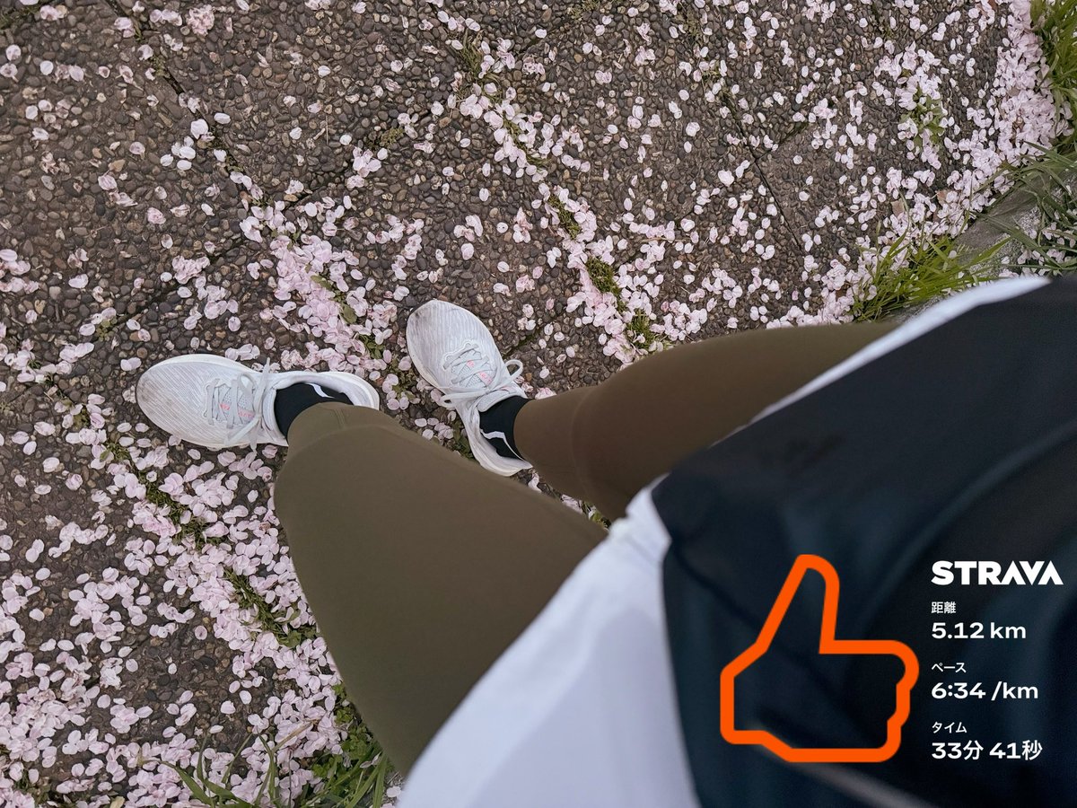 𝗛𝗮𝗿𝘂𝗿𝘂𝗻𝗿𝘂𝗻@パンを愛するダイエッター tweet media