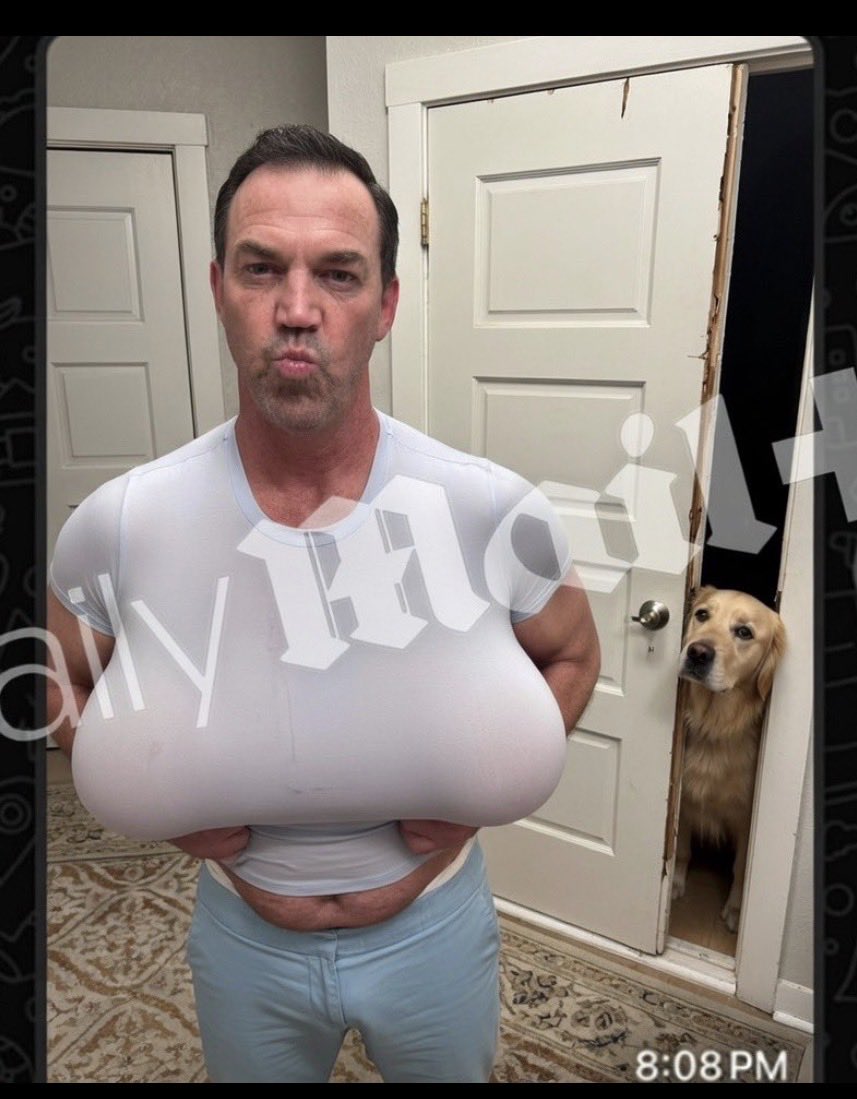 StatenIslFairy's tweet image. The dog knew the whole time but kept his mouth shut because he knows what Kristi Noem did to the dog before him.