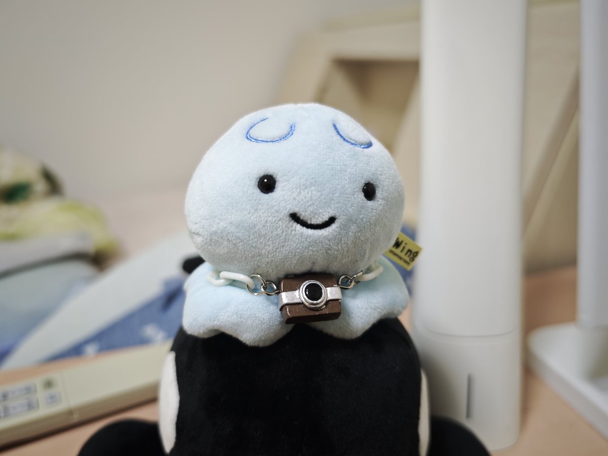 〜Natukage〜 tweet media