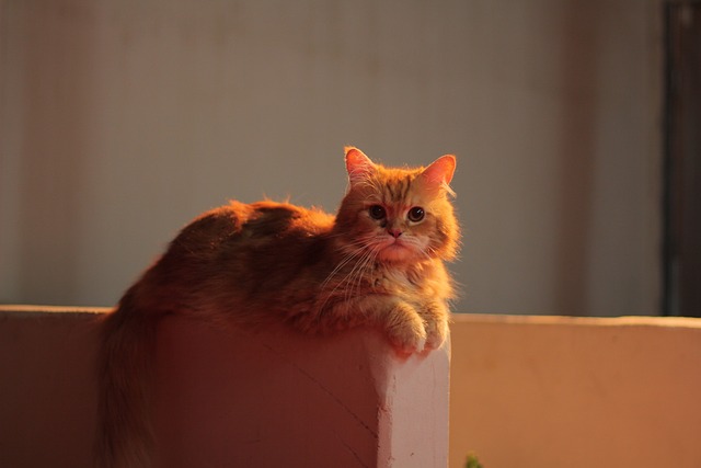 Mitch Dick tweet media