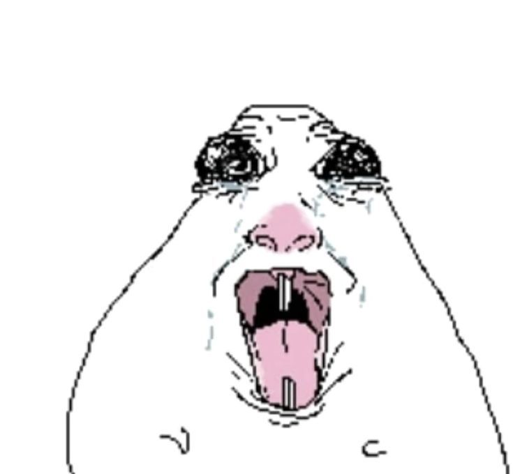 MWcebolla tweet media