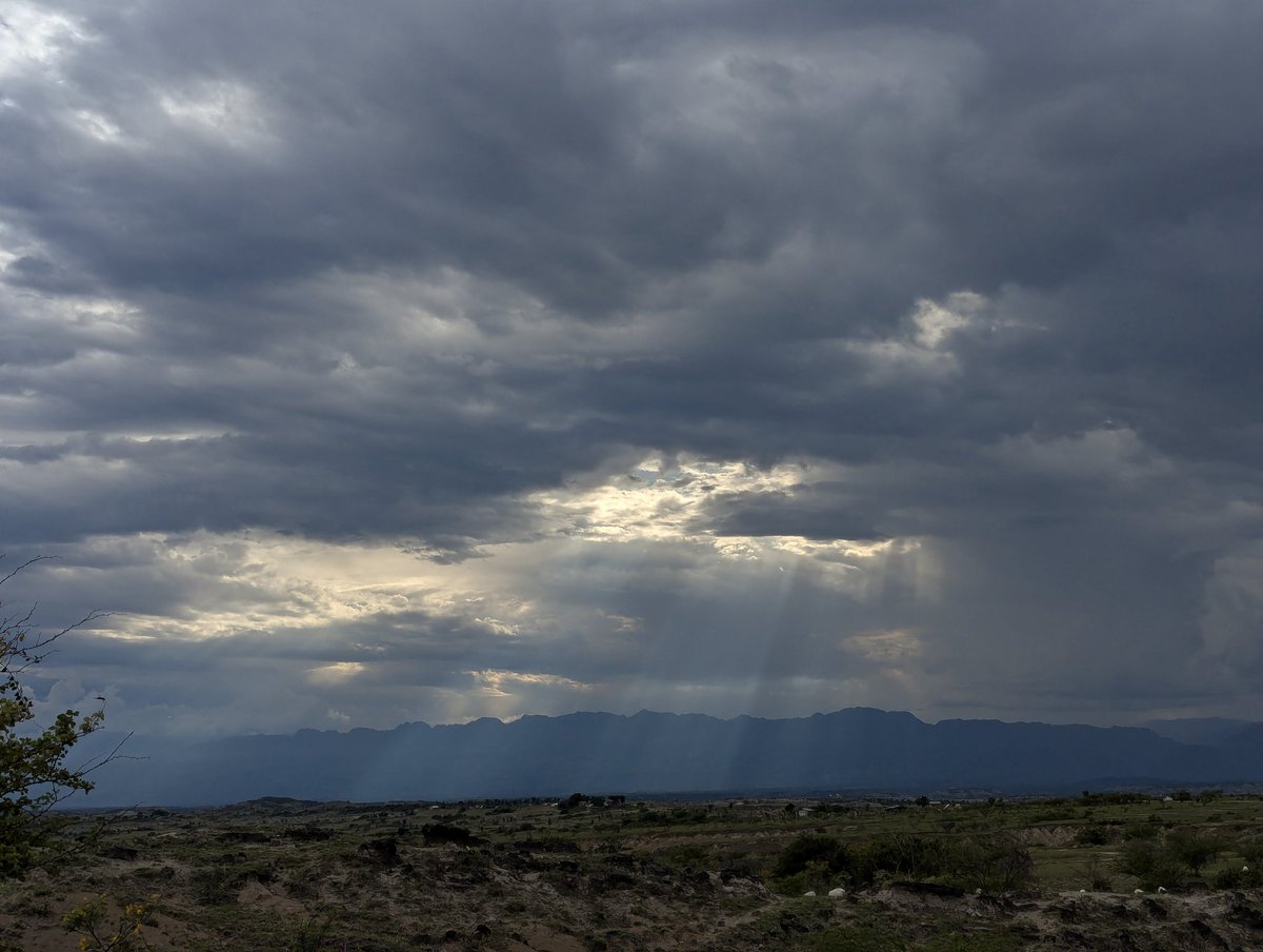 Kirusu/// tweet media