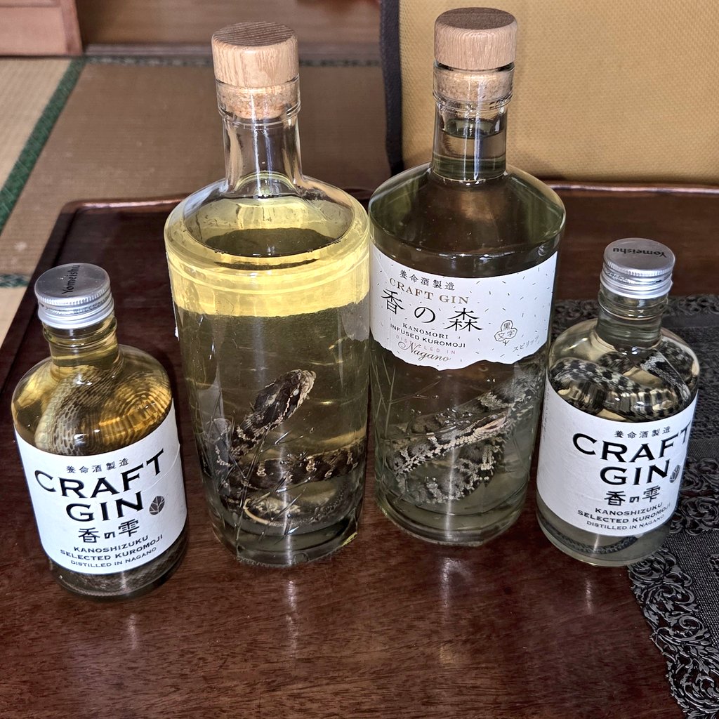 ちーとん。 tweet media