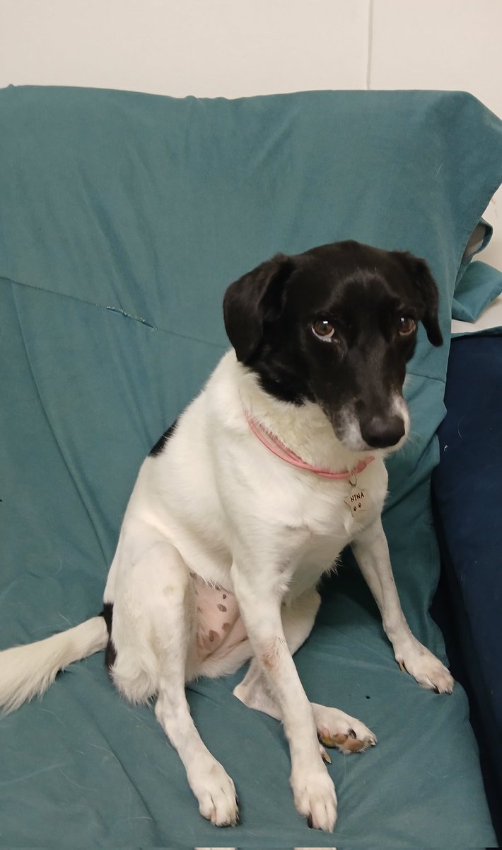 Sandro Aurélio tweet media