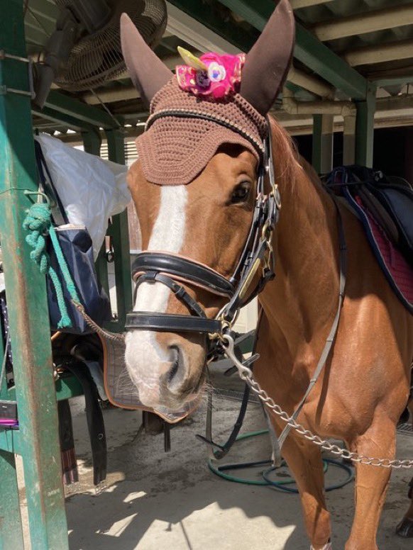 すあま@愛馬ルミといっしょ tweet media