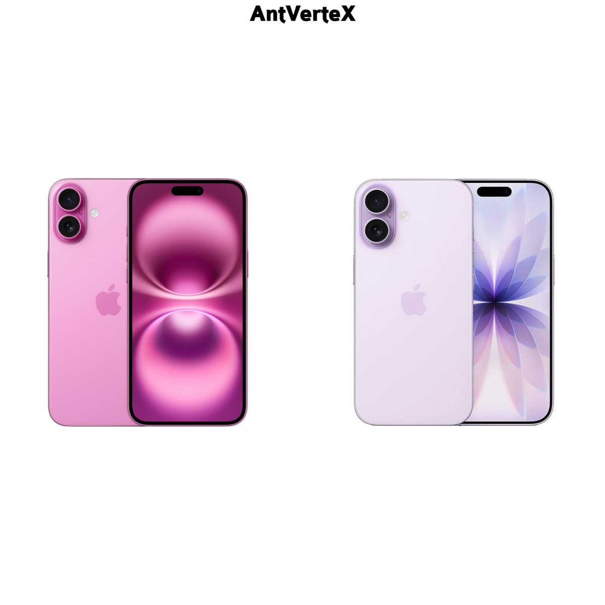 AntVerteX tweet media