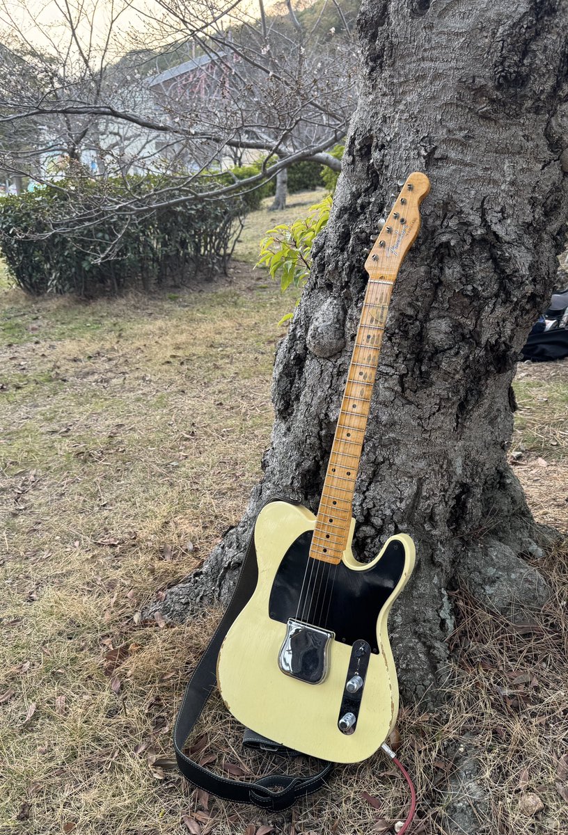 みおちゃん@バキバキピッキングネキZ tweet media