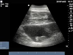 村上🍥 tweet media