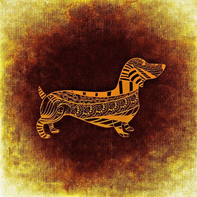 Zack Sharma tweet media