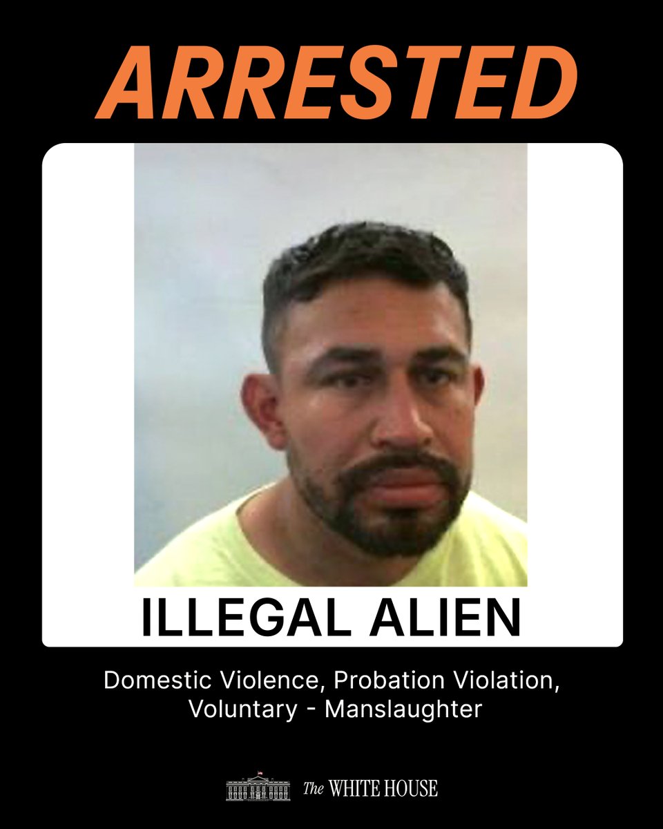 The White House tweet media