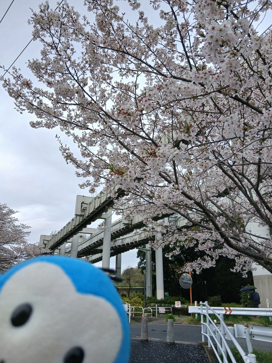 モノちゃん@千葉モノレール tweet media