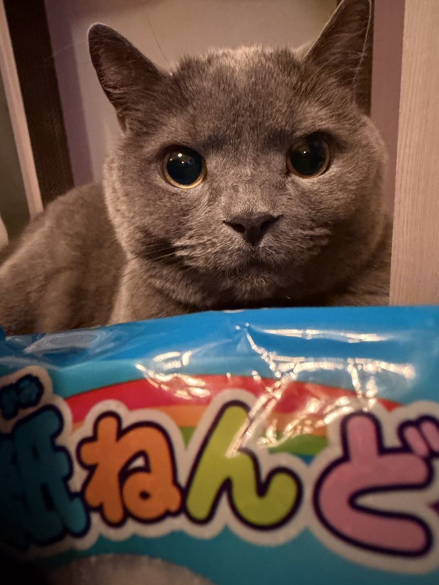 ルーヴママ tweet media