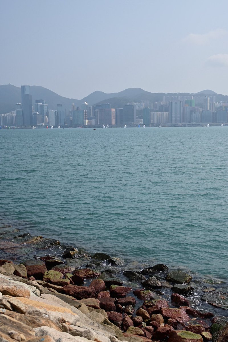 佐敦哥哥 tweet media