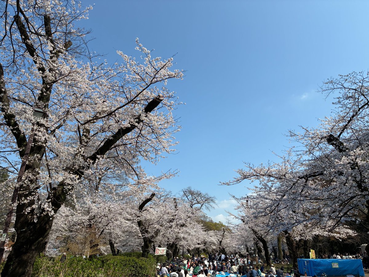 Tomoya Nakamura tweet media