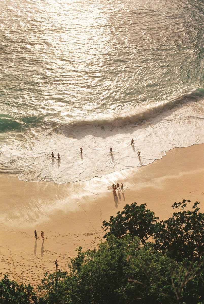 Simon Ribadeneira tweet media