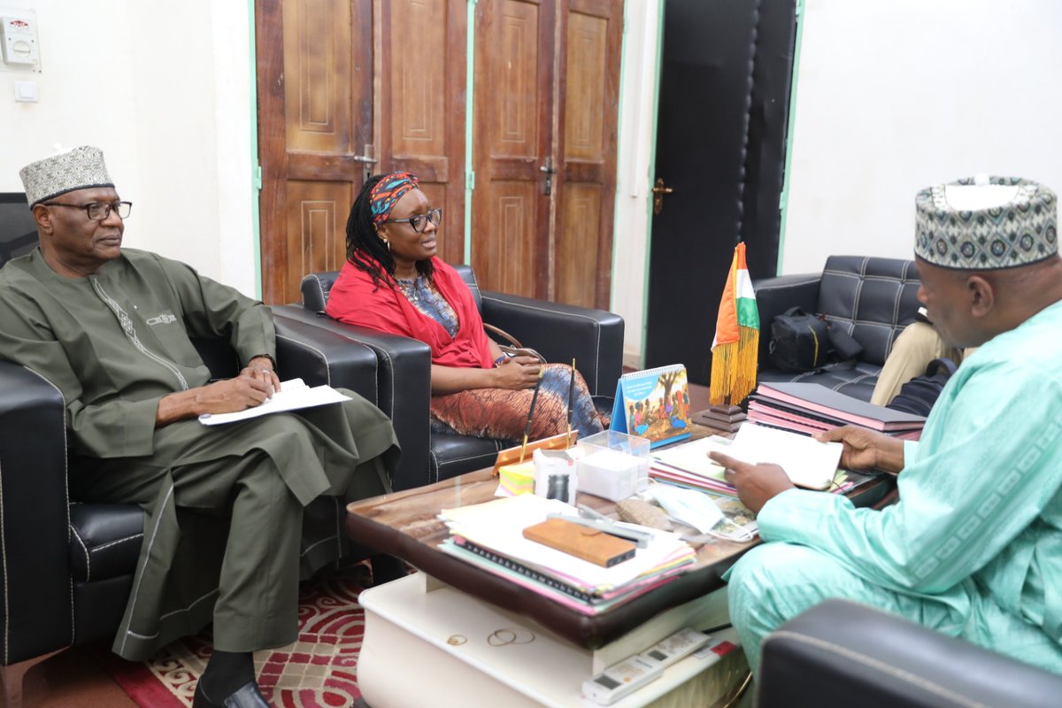 PNUD Niger tweet media